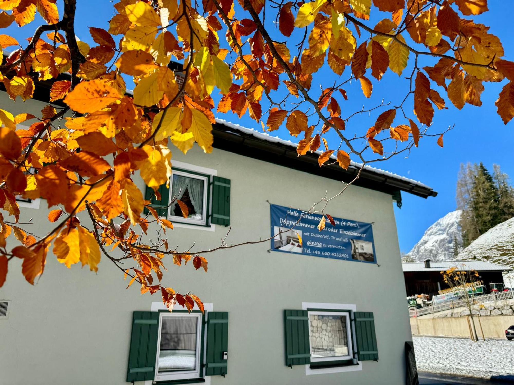 Ferienwohnung Saunahaus Annaberg im Lammertal Exterior foto